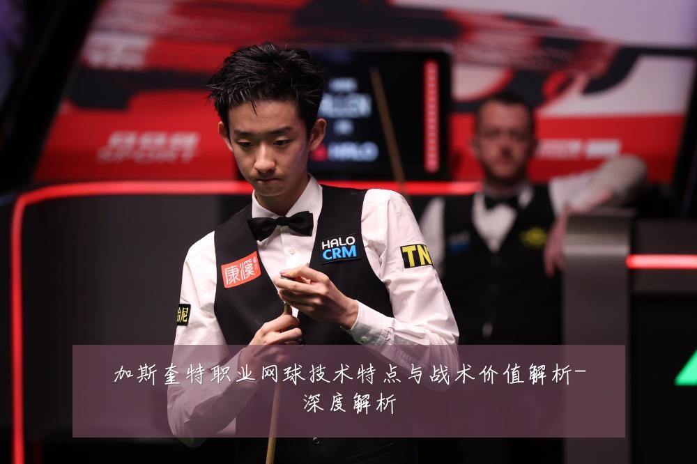 加斯奎特职业网球技术特点与战术价值解析-深度解析